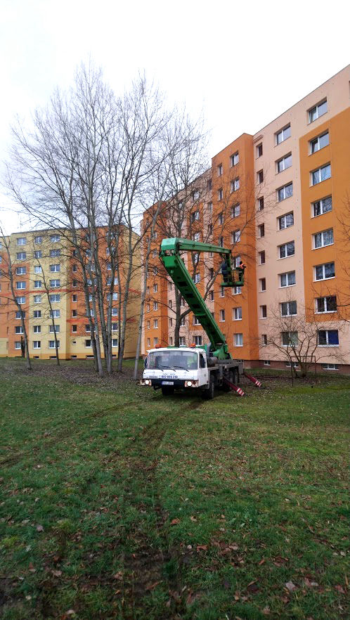 Kácení a prořezy stromů František Doležal Česká Lípa Nový Bor Cvikova Varnsdorf Kamenický Šenov Česká Kamenice Doksy Mimoň