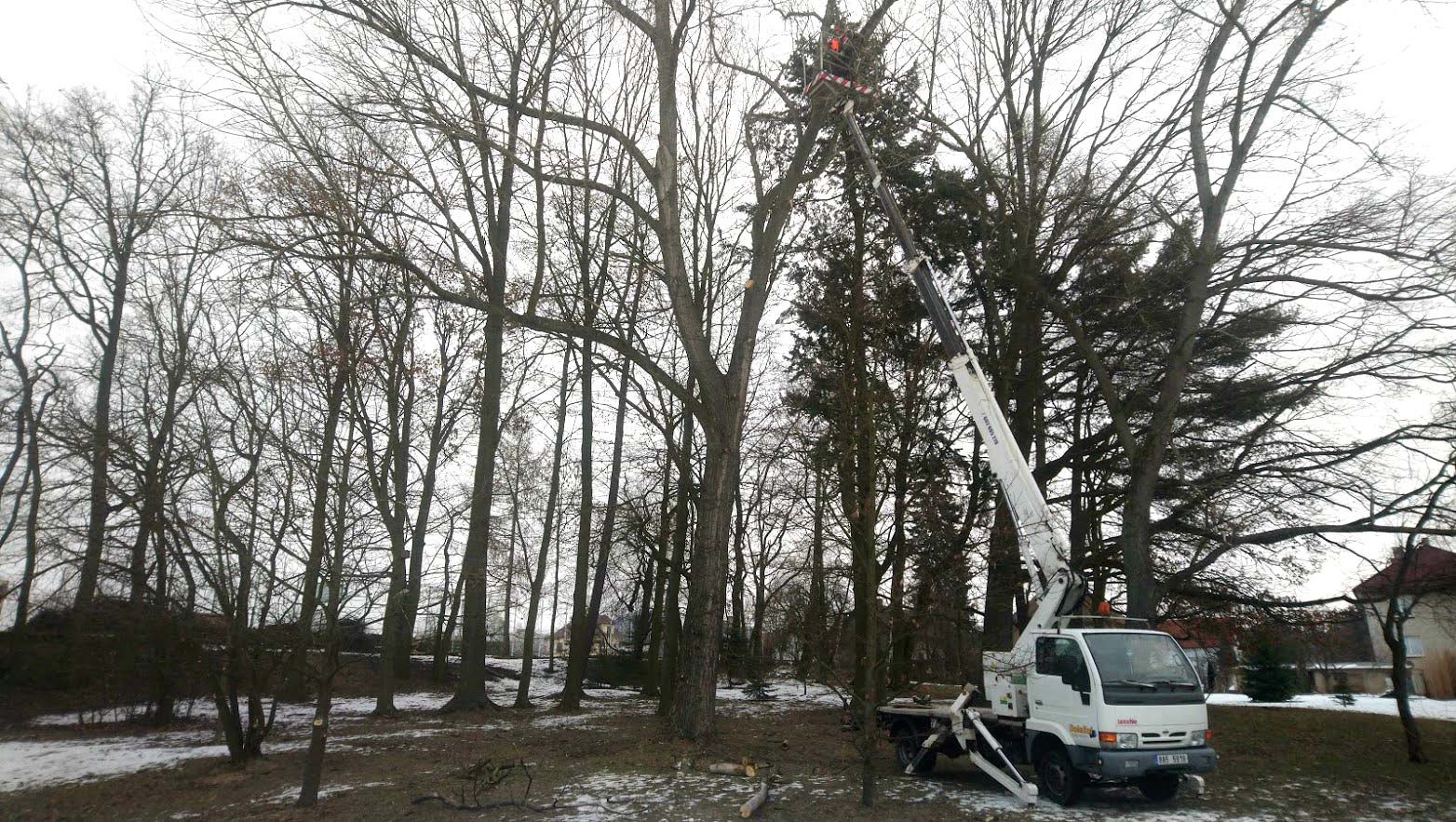 Kácení a prořezy stromů František Doležal Česká Lípa Nový Bor Cvikova Varnsdorf Kamenický Šenov Česká Kamenice Doksy Mimoň